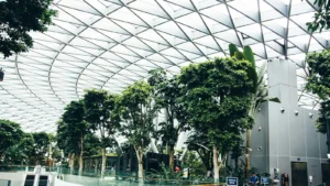 Tropical greenery inside large glass-domed building with steel framework overhead