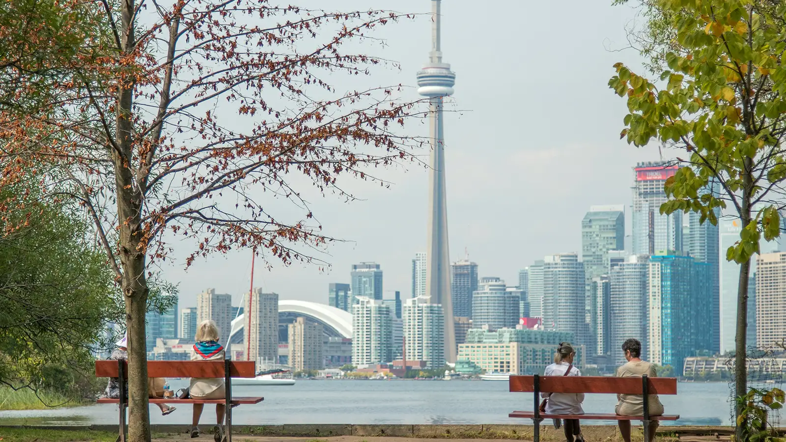 People sitting on park benches overlooking Toronto skyline with CN Tower across water