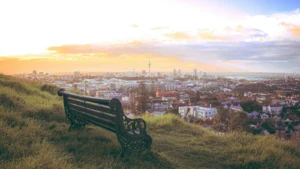 Wooden bench facing Auckland cityscape from hillside, warm sunset light and clouds