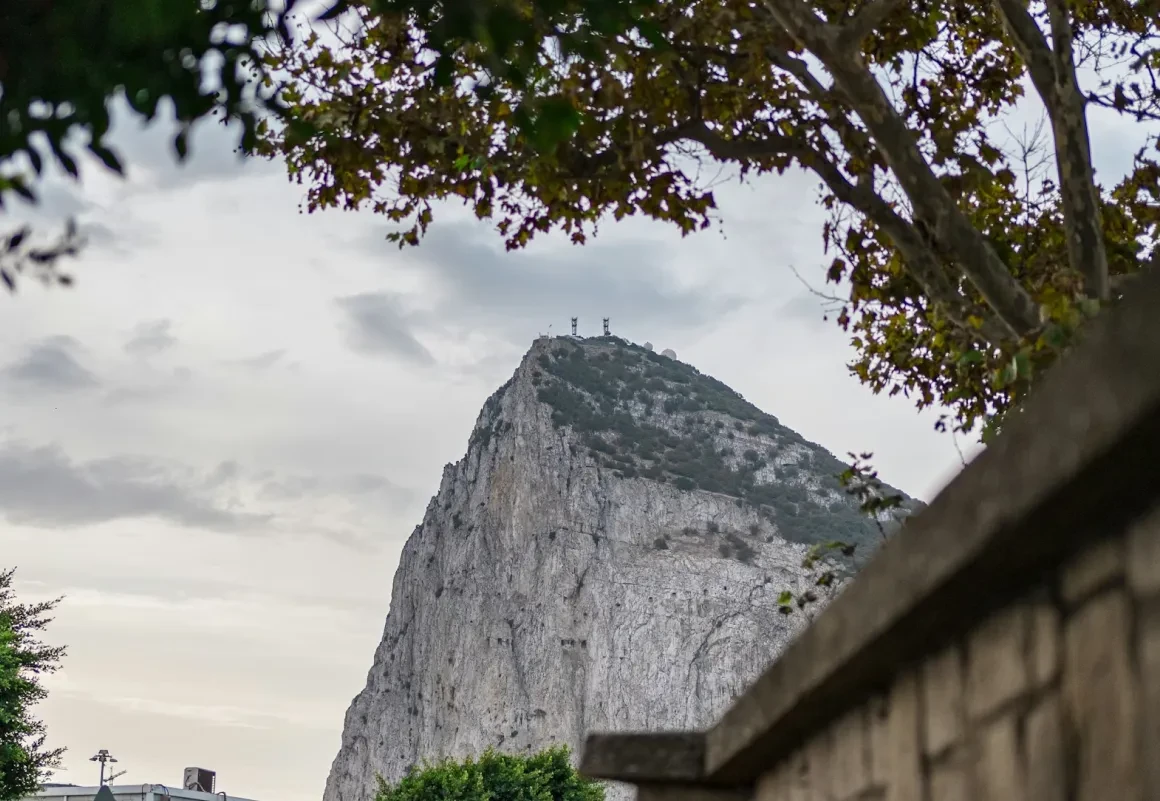 The Rock of Gibraltar rising behind a stone wall and framed by a tree