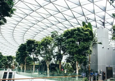 Indoor tropical garden with glass domed roof at a Singapore airport terminal